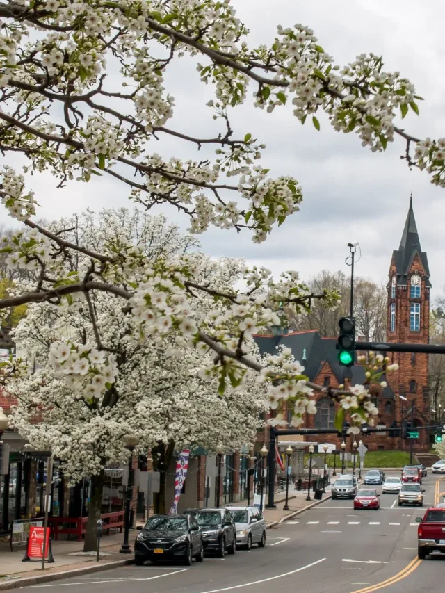 Top 5 Things to Do in Norwalk Connecticut