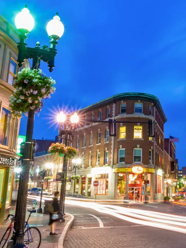 Top 5 Best Things to Do in Harvard Square